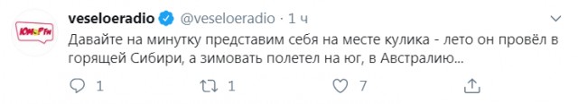 Бредзона 27.01.2020