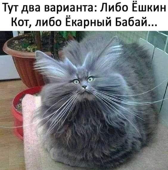 Чуток картинок 11.05.20