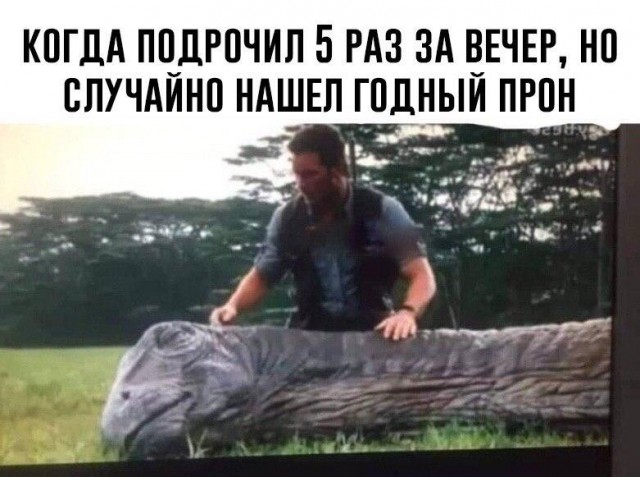Очень пошлые картинки про это.18+