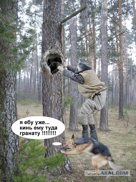 Фотожаба: Охотник и его верный пес