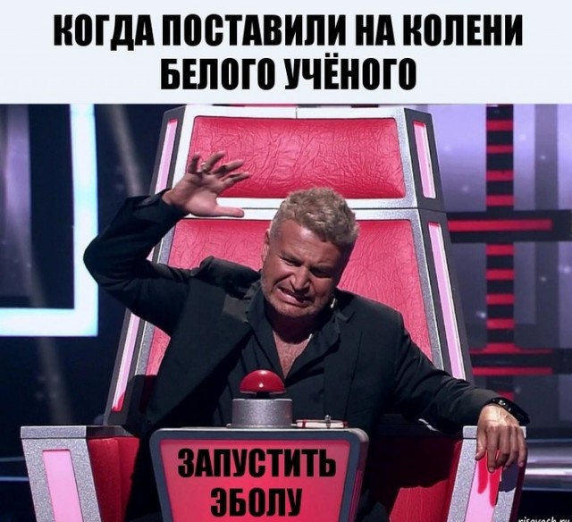 Немного картинок для настроения 20.06.20