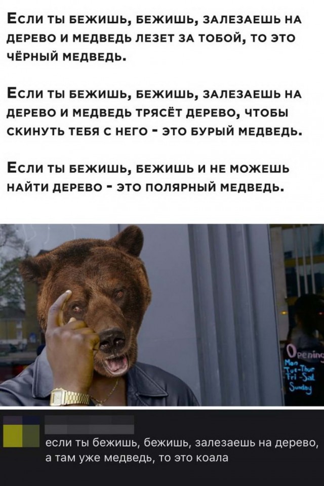 Дурацкие картинки
