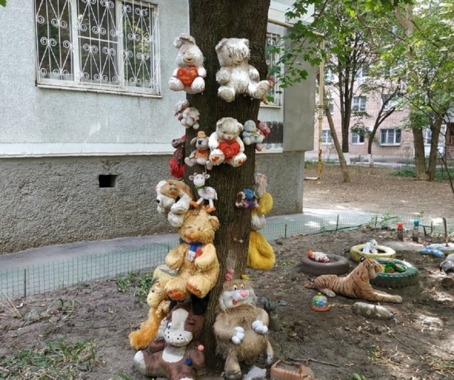 В Петербурге решили наказать жителя, облагородившего придомовую территорию за свой счет