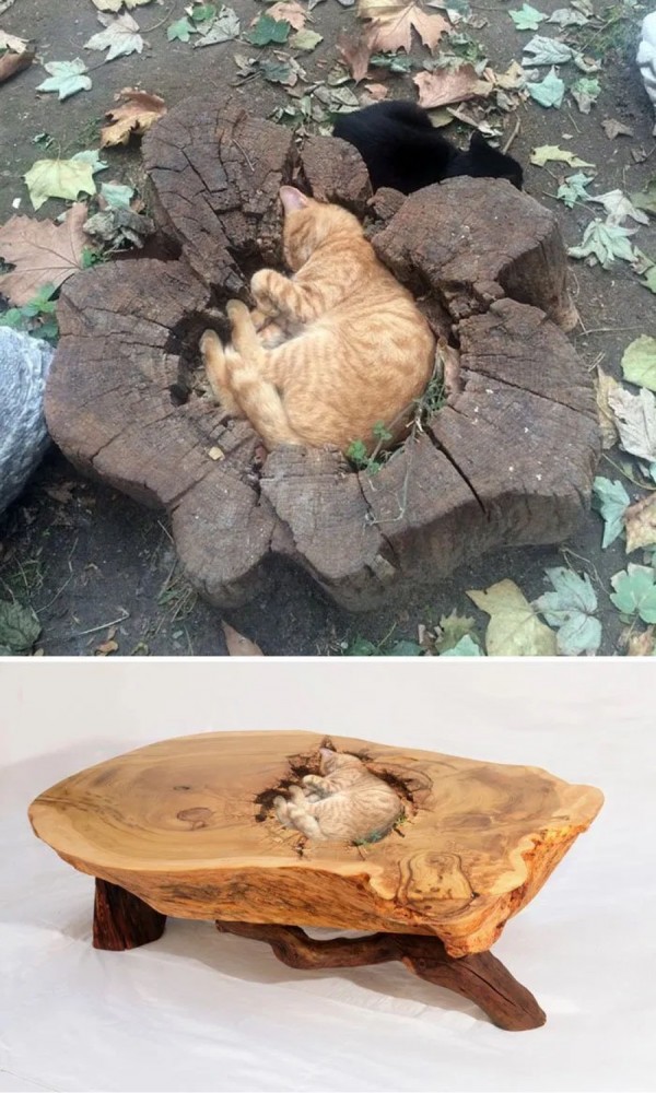 Фотошоп