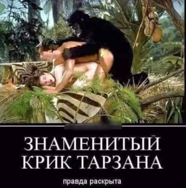 Бредзона 04.02.21