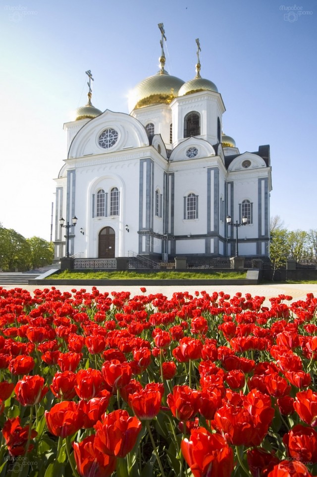 Алчность, жадность + стадный инстинкт.