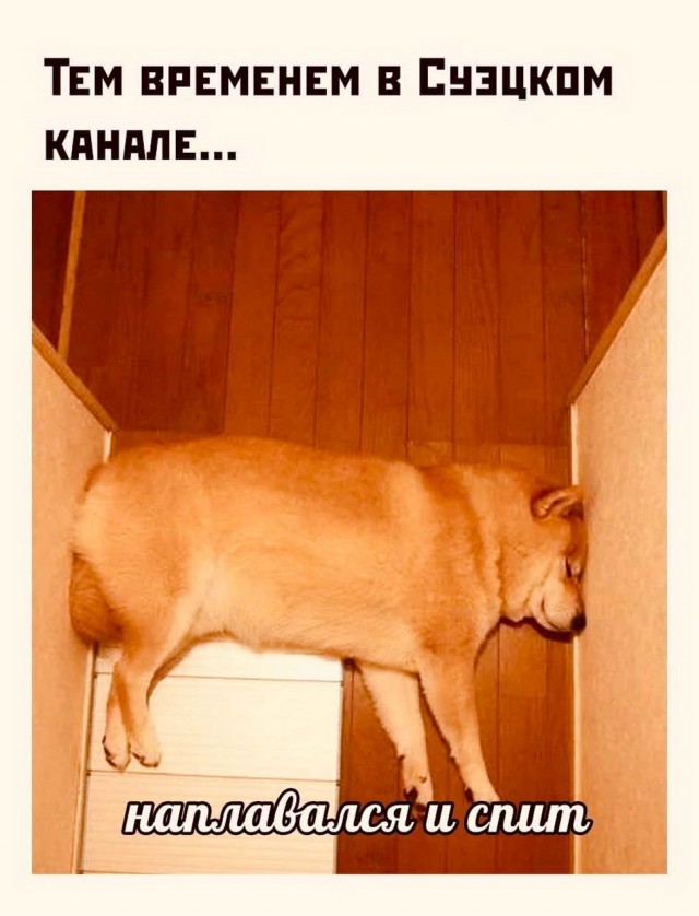 Бредзона 01.04.21