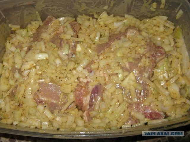 Шашлык, рецепты маринада, все про шашлык!