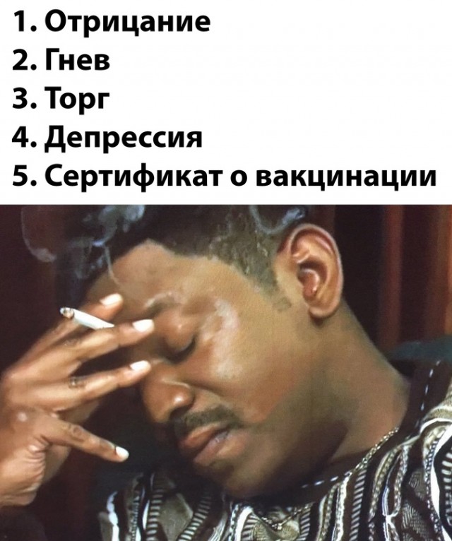 15679370.jpg