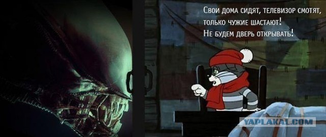 А вы бы открыли?