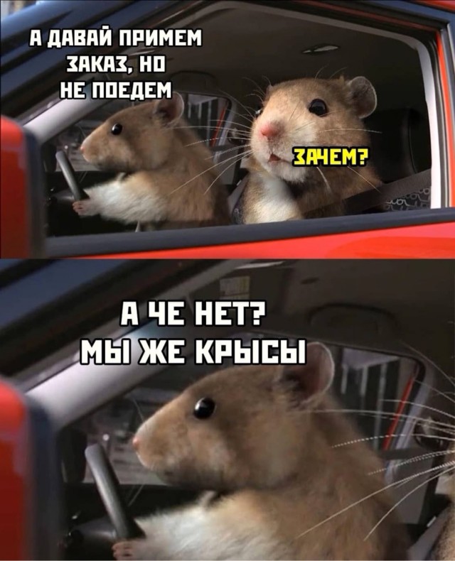 Так себе картинки 02.11.21