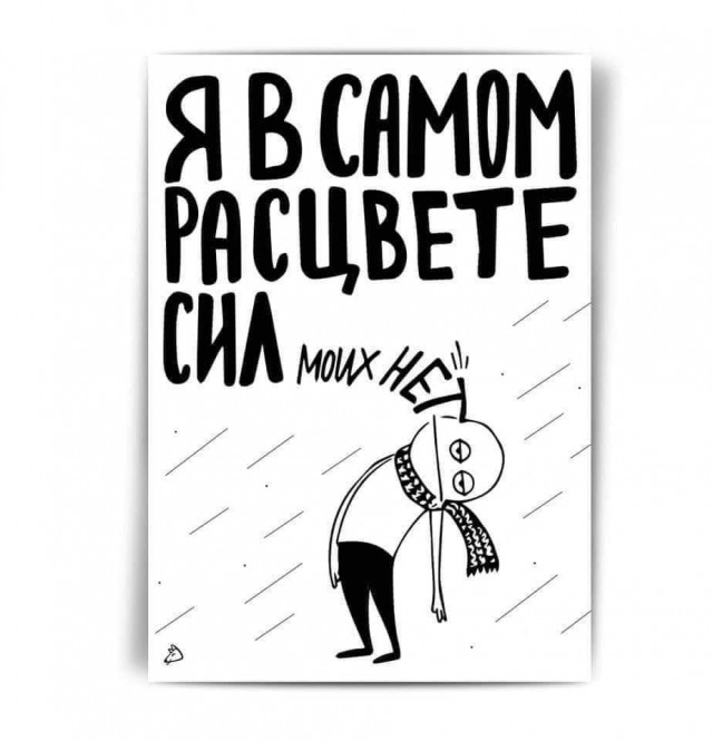 Баянисто-небаянистый юмор 17.11.21