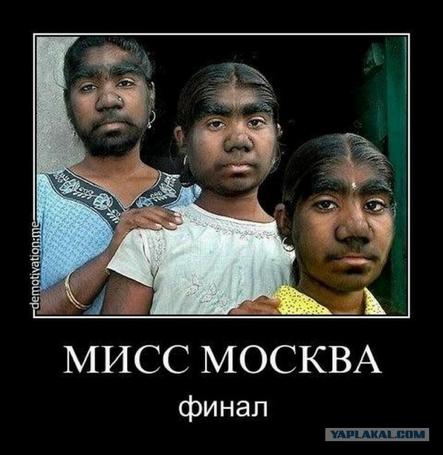 Топ громких расправ над живодёрами