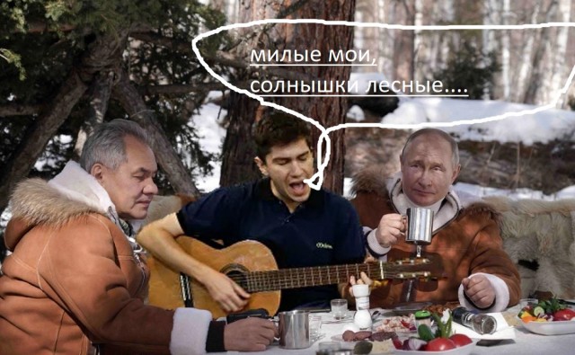 Фотожаба: Музыкант