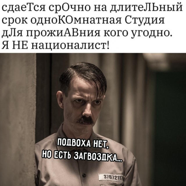 Весёлый полтишок 16.12