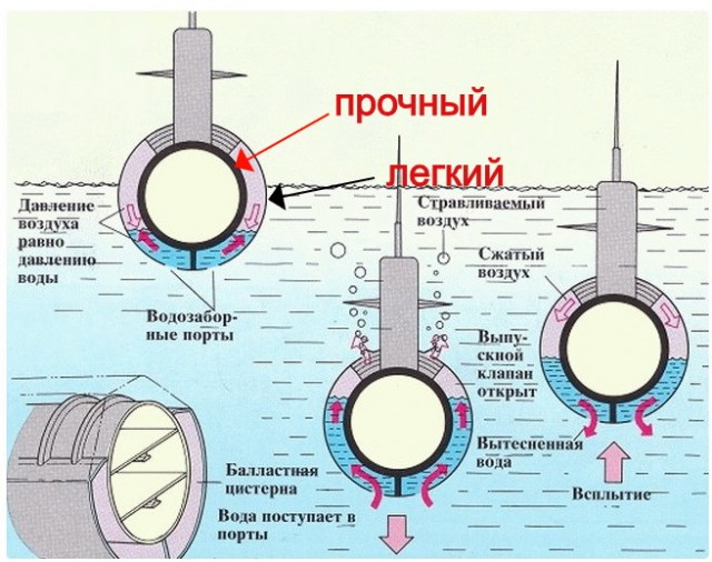 Состав ВМФ России усилили две атомные подлодки