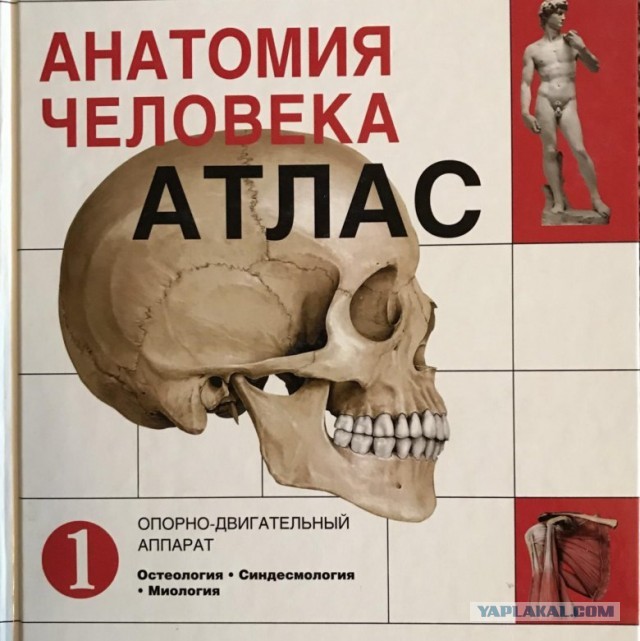 Подборка картинок и мемов на любой вкус
