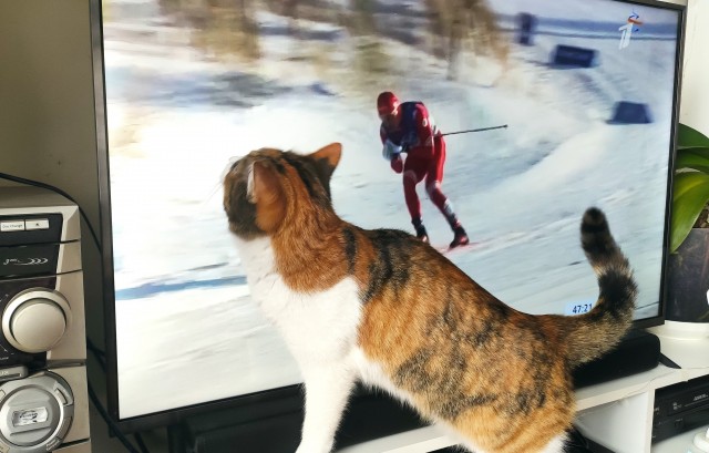 Котовторниковское