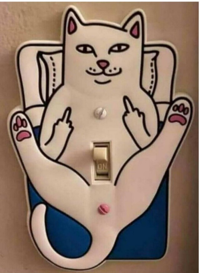 Забавные и милые котейки