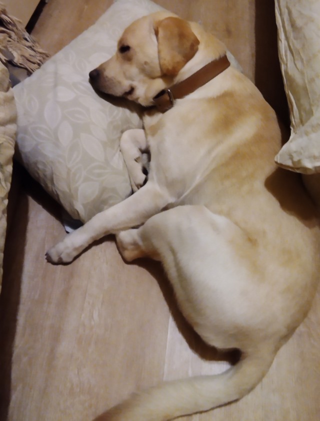 Дочь не пригласила на свадьбу отчима, который растил ее с 9 лет. Я тоже на эту свадьбу не пойду