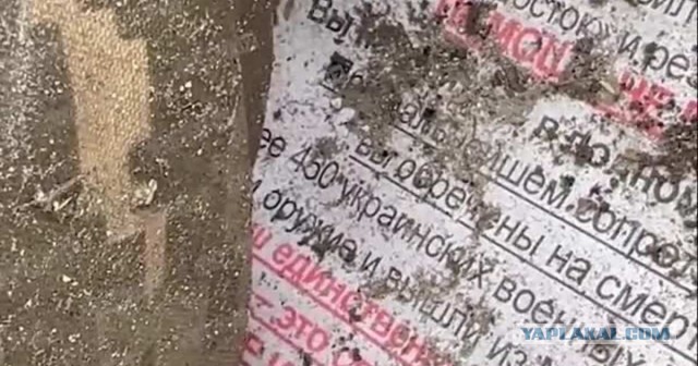 ДемилитариZация и денацификация в действии