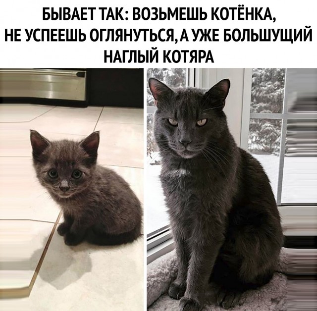 Кореец про быстро летящее время