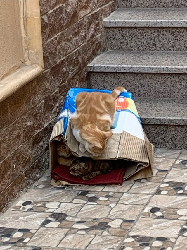 Давно вроде не было... А что у вас за окном