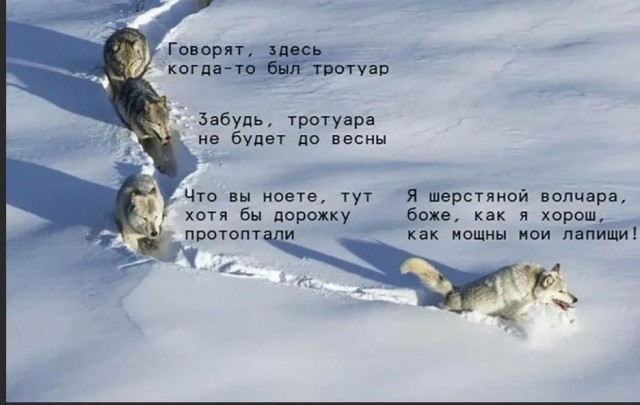 Победная поступь идиотизма по планете – том 4