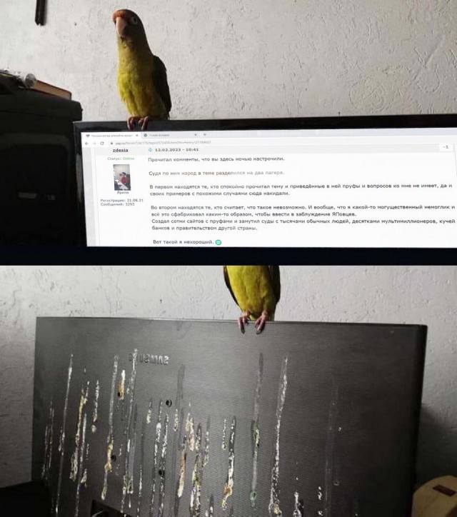 Человечество способно вызывать землетрясения. Пруф!