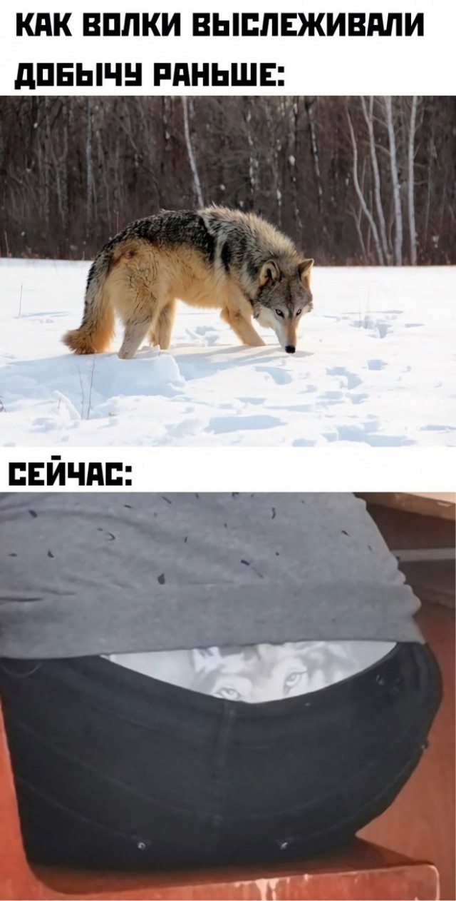 Всего понемногу. Первоапрельский выпуск