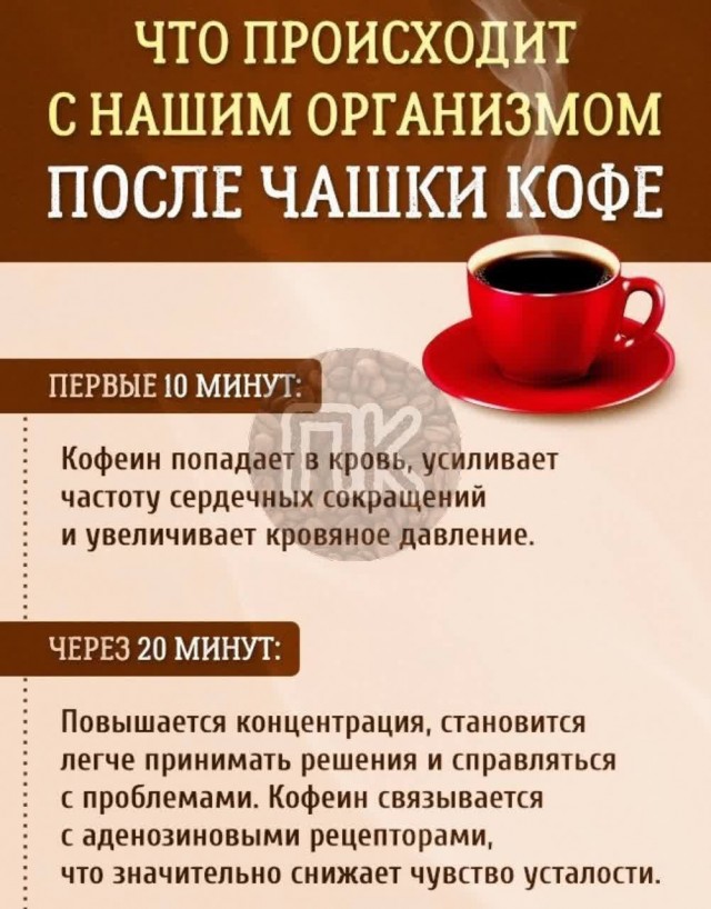 Победная поступь идиотизма по планете – том 15