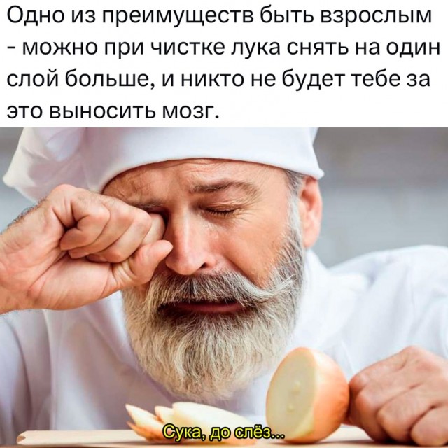 Весёлый полтишок 23.07.23
