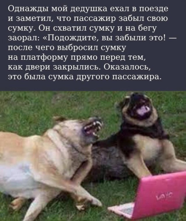 Народная меДИЧина 1006