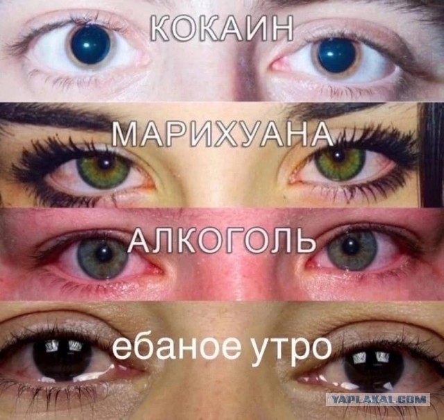 Немного мемчиков. Для взрослых. Часть 32