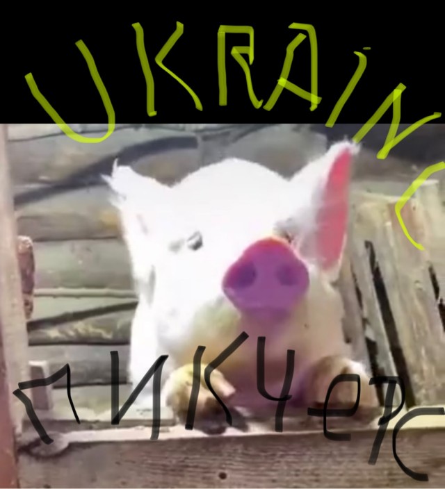 Новое слово в кинематографе
