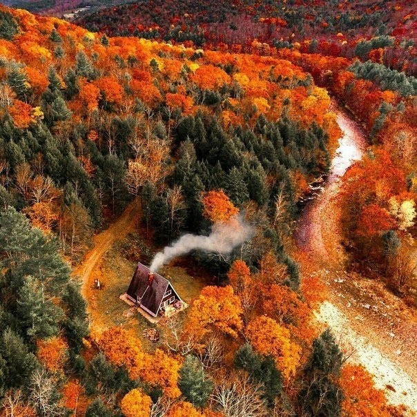 Необычные картинки 11.12.2023г