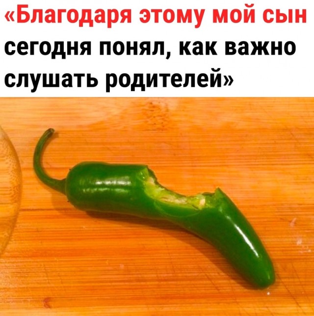 Весёлый полтишок 18.01.24