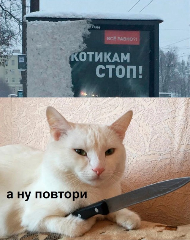Тлидцать тли от 11 маЛта