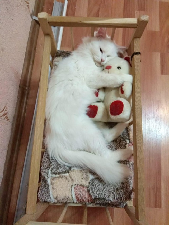 Киану Ривз с другом.