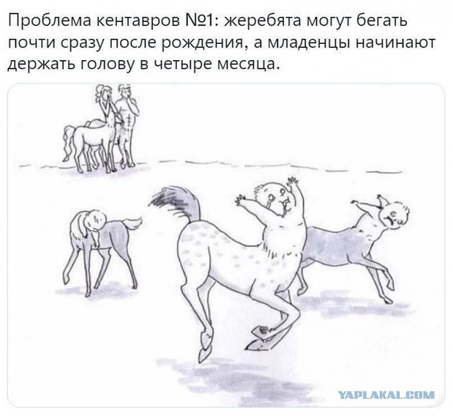 Чуток картинок