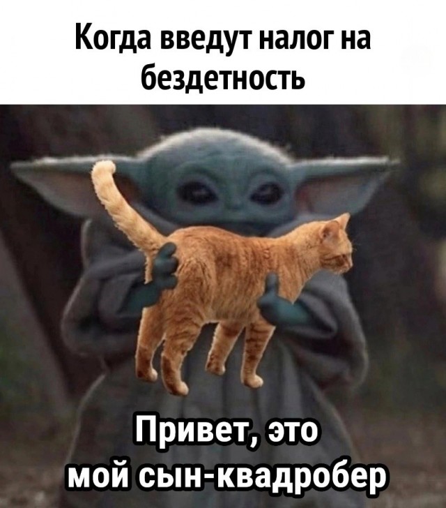Нуштош 17.10.2024