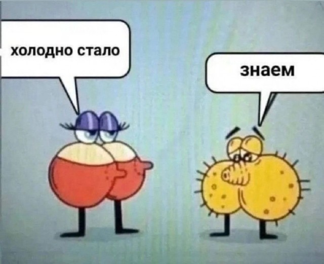 Быстрая деградация