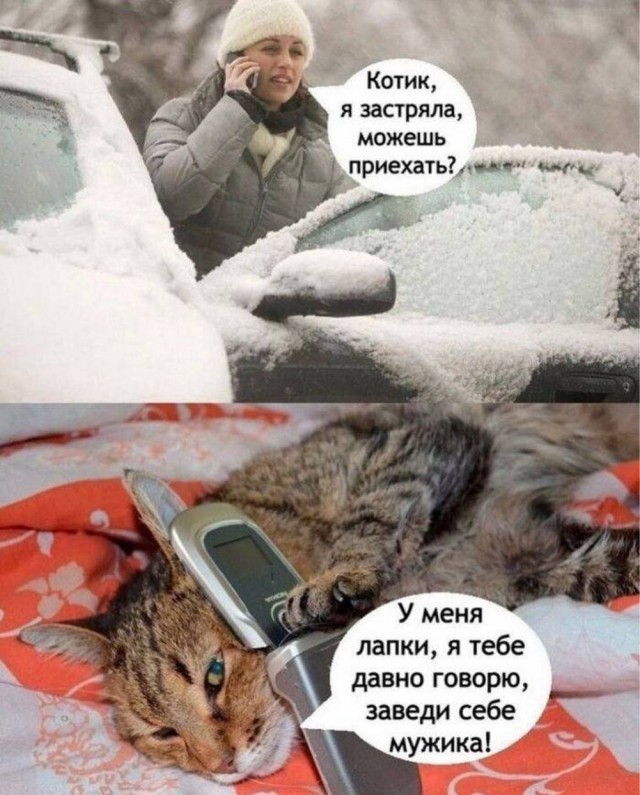 Немного забавных картинок от 22.12.24