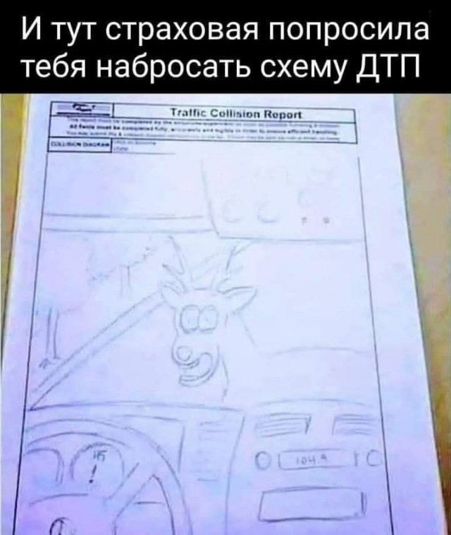 Так себе картинки 28.12.24