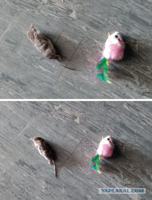 Игрушечка Марусеньки