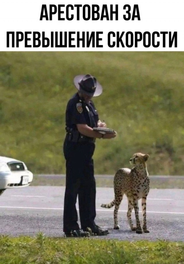Маленькая пятница 28.05