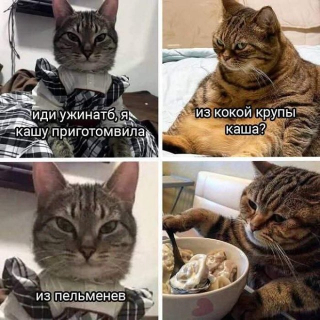 10 картинок падонгам для вечернего настроения