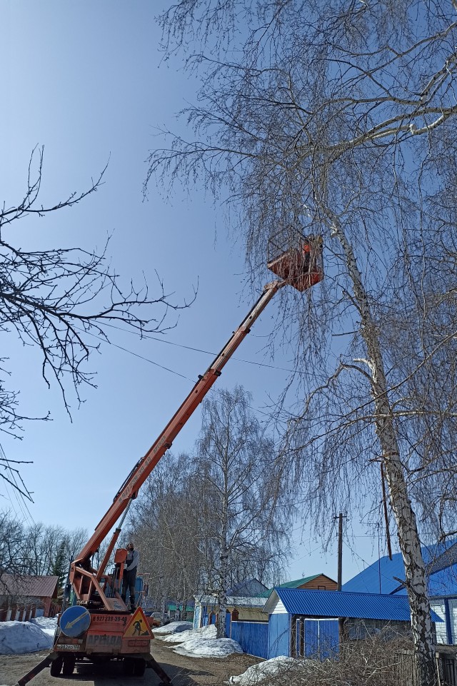 А всё идёт по плану