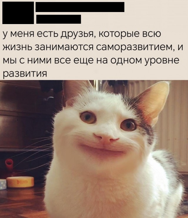 Нуштош 29.07.2025. Отделение цирка от государства (s4e5)