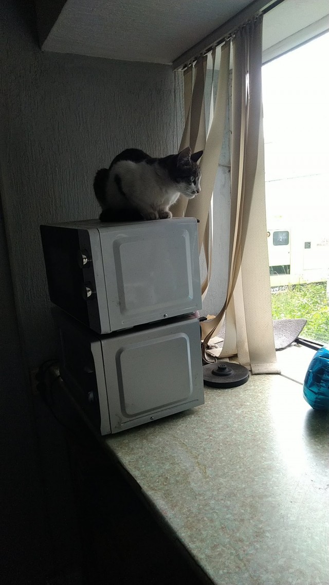 Фторник  жеж))